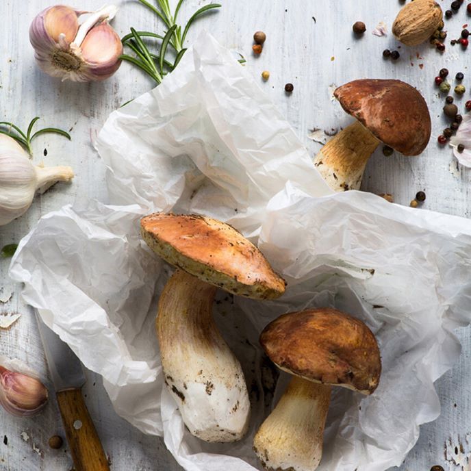 Benefits of Mushrooms For Your Skin