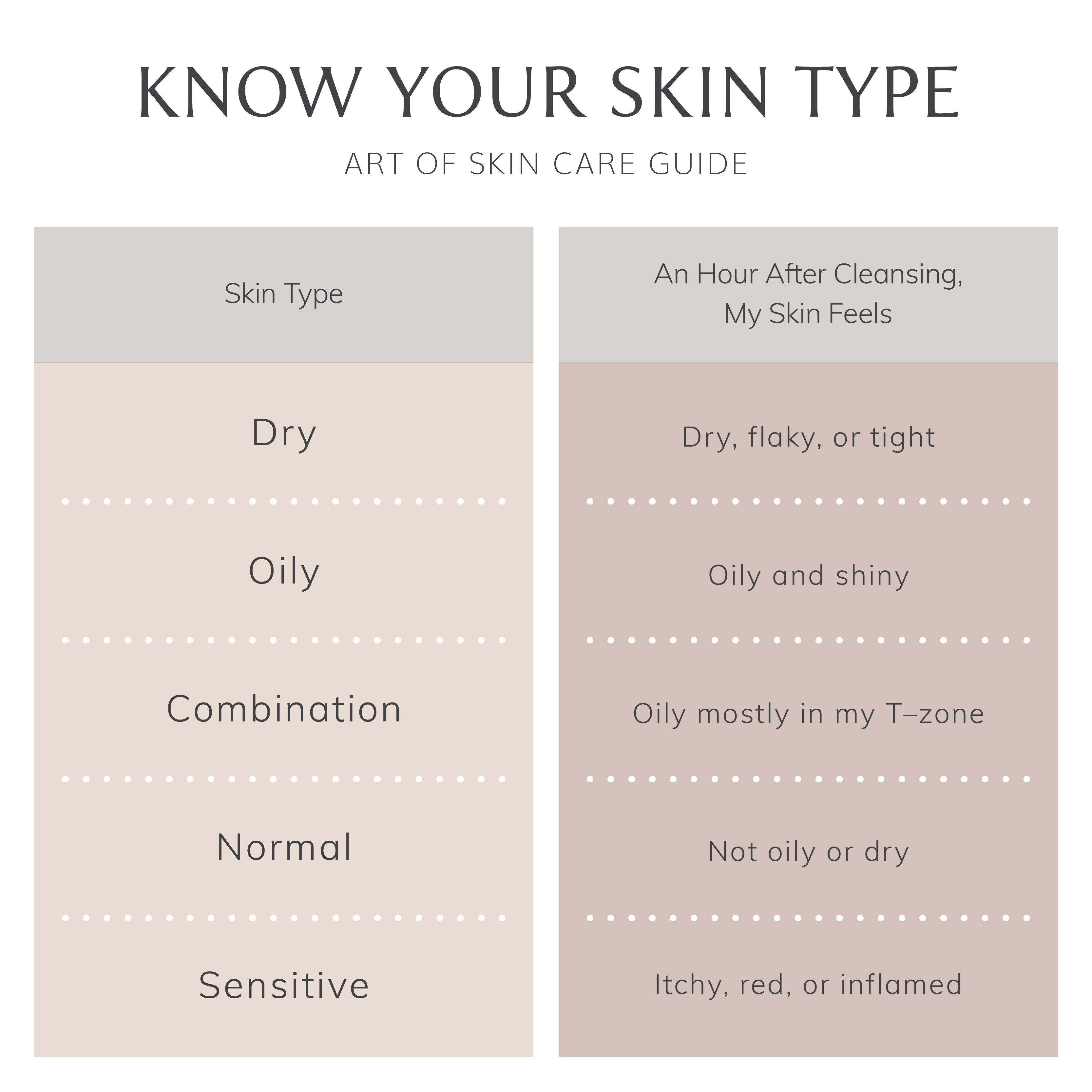 Skin Type Diagram